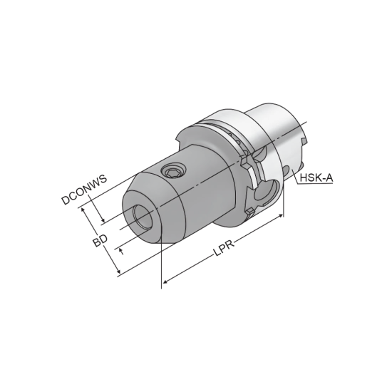 WELDON CHUCK HSKA100-HB20-100 - DRW