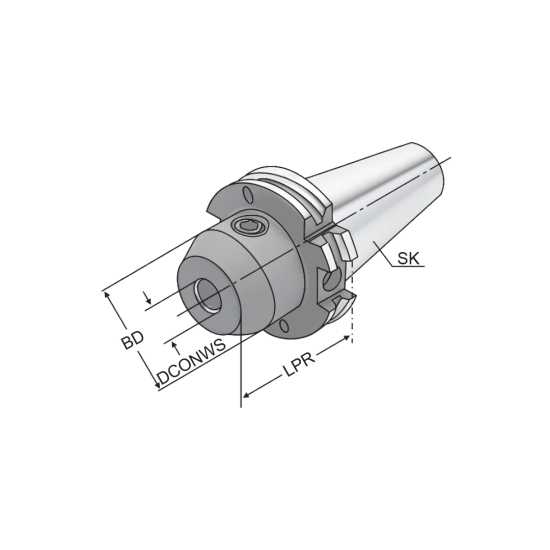 WELDON CHUCK SK40-HB32-100-B - DRW