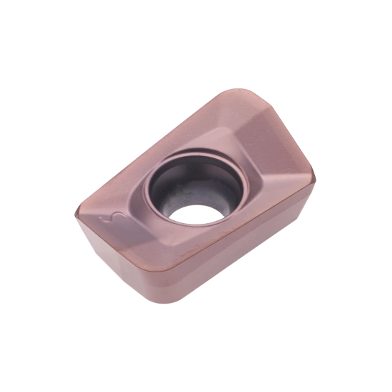 INSERT XPET 170616 PDER-LS PHH930