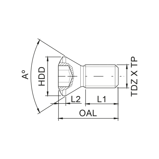 PARAFUSO P0401200 - DRW