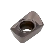 INSERT XPET 060208 PDER-LP PHP930